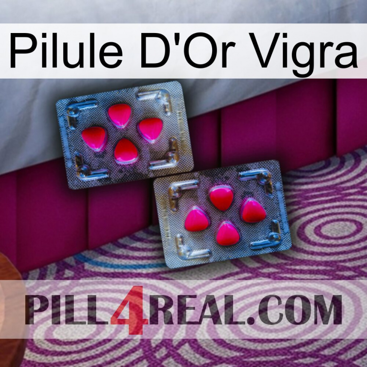 Vigra Gold Pill 15